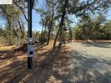 18891 Tanglewood Hollow Way - Photo 5