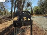 18891 Tanglewood Hollow Way - Photo 6