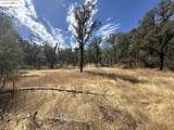 18891 Tanglewood Hollow Way - Photo 7