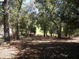 19195 Ferretti Rd. - Photo 39