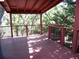 19195 Ferretti Rd. - Photo 40