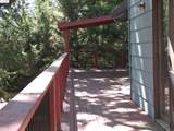 19195 Ferretti Rd. - Photo 41