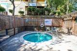 648 Fig Tree Lane - Photo 44