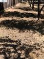 0 Morrison Canyon Rd - Photo 22