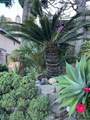 5378 Conestoga Way - Photo 93