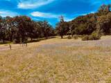 34221 Robinson Canyon Rd - Photo 4