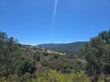 350 Via Los Tulares - Photo 12