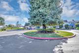 203 Vista Prieta Ct - Photo 10