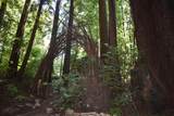 10158 Zayante Rd - Photo 25