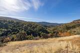 20803 Cachagua Rd - Photo 3
