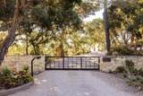 53 Marguerite - Photo 49