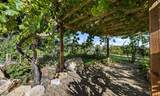 547 Mission Vineyard Rd - Photo 12