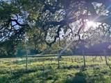 547 Mission Vineyard Rd - Photo 14