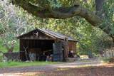 2000 Scott Creek Rd - Photo 8