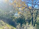 0 Cinnabar Hills Rd - Photo 4