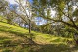 0 Cachagua Rd - Photo 11