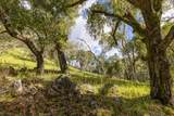 0 Cachagua Rd - Photo 12