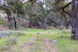 0 Cachagua Rd - Photo 7