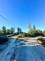 10001 West Dr - Photo 2
