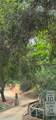 0 O Uvas Road - Photo 22