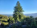 Lot 58 Skyview Ridge Rd - Photo 34