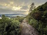 Lot 58 Skyview Ridge Rd - Photo 37