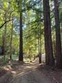 Lot 58 Skyview Ridge Rd - Photo 38
