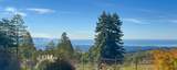 1061 Summit Rd - Photo 1
