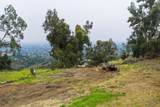 807 Boulder Dr - Photo 26