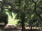 19195 Ferretti Rd. - Photo 37
