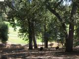 19195 Ferretti Rd. - Photo 38