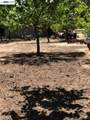 0 Morrison Canyon Rd - Photo 18