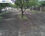 0 Morrison Canyon Rd - Photo 5