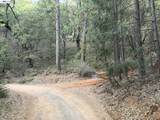 4700 Kelley Pl - Photo 15