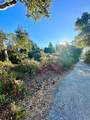 10001 West Dr - Photo 5