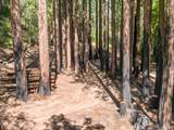 000 Band Rd - Photo 39