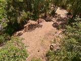 00000 Page Mill Rd - Photo 12