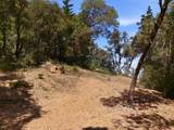 00000 Page Mill Rd - Photo 16