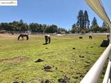 20158 Pine Mountain 4-128 - Photo 16