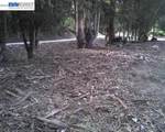 0 Morrison Canyon Rd - Photo 4