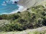 Clear Ridge Rd - Photo 22
