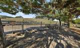 547 Mission Vineyard Rd - Photo 8
