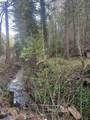 22895 Fork Rd. - Photo 2