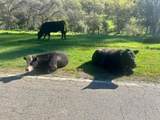 0 Moccasin Ranch Rd - Photo 4