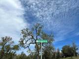 0 Moccasin Ranch Rd - Photo 5