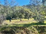 0 Moccasin Ranch Rd - Photo 6