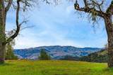 9 Long Ridge Trl - Photo 22