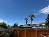 229 Spring Valley Ln - Photo 38