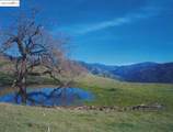 39305 Pine Mountain Rd - Photo 1