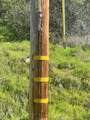 0 Moccasin Ranch Rd - Photo 4